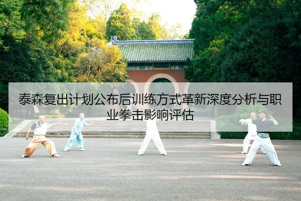 泰森复出计划公布后训练方式革新深度分析与职业拳击影响评估