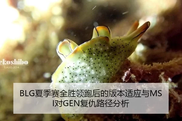 BLG夏季赛全胜领跑后的版本适应与MSI对GEN复仇路径分析