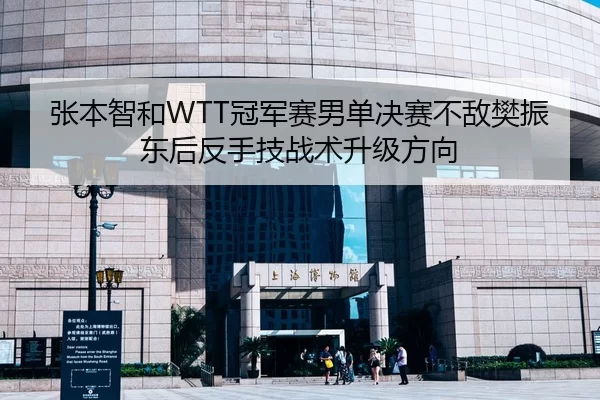 张本智和WTT冠军赛男单决赛不敌樊振东后反手技战术升级方向