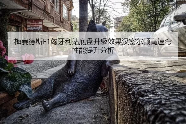 mei-sai-de-si-xiong-ya-li-zhan-di-pan-sheng-ji-xiao-guo-han-mi-er-dun-gao-su-wan-xing-neng-ti-sheng-fen-xi-2-917.jpg
