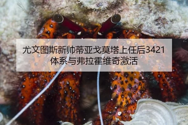 you-wen-tu-si-xin-shuai-di-ya-ge-mo-ta-shang-ren-hou-ti-xi-yu-fu-la-huo-wei-qi-ji-huo-2-654.jpg